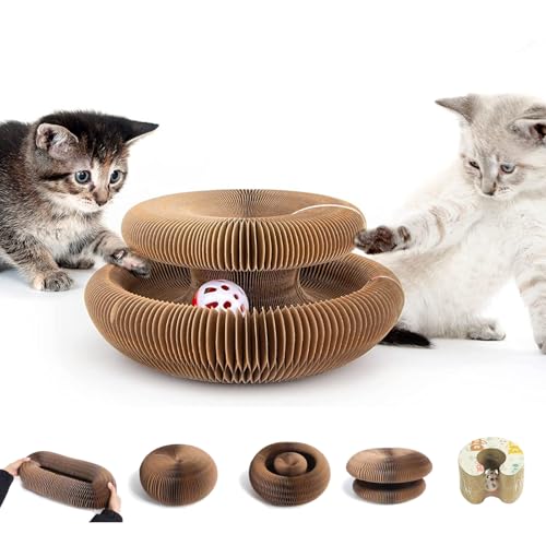 Kitty Curlz Magic Organ Cat Scratching Board
