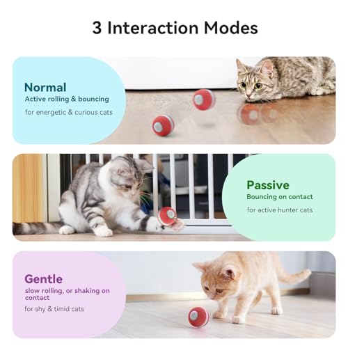 Cheerble Interactive Cat Ball Toy, Automatic Moving Ball Toy for Indoor Cat Kitten, Electric Pet Toy Fun Gift with Light, High Energy Cat Toys, Red - color: Red