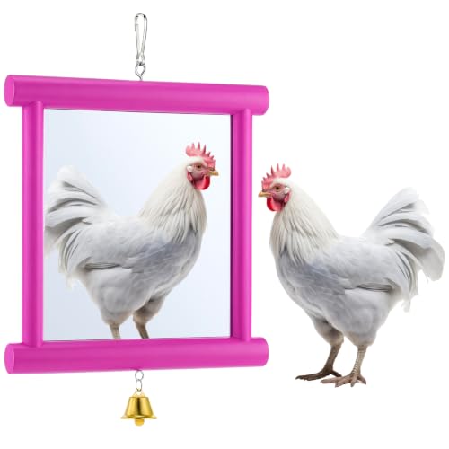 Sadnyy Extra Large Chicken Mirror Toy for Coop Square Double Side Mirror - color: Rose Red, size: Square