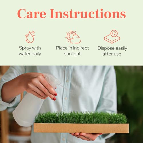 DoggieLawn Guinea Pig Pee Pads, Fresh Grass Mat, Hamster Small Pet Bed 24x9 - size: 24X9 inch