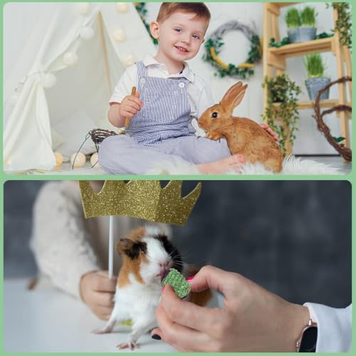 Rabbit Chew Toys Teeth Timothy Hay Sticks, Guinea Pig Chew Treats Toys - size: 36Pack-sticks Set