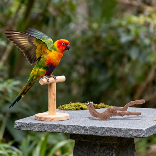 Angoily Bird Perch Set, 5pcs Natural Wood Cage Perches with Rope