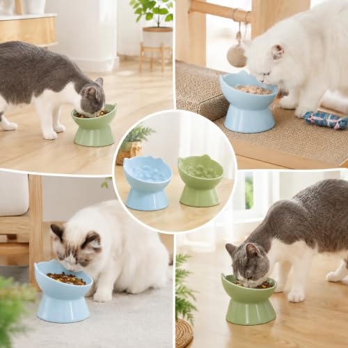 STARVAST 2 Pack Ceramic Slow Feeder Cat Bowl, Elevated