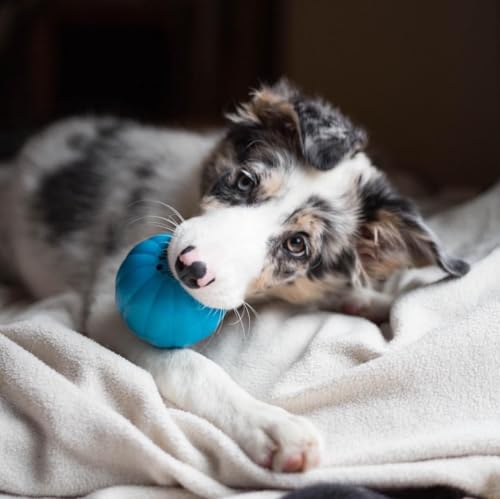 Pet Qwerks Talking Babble Ball - Interactive Chew Dog Toy - Large - size: Large, style: Talking Babble