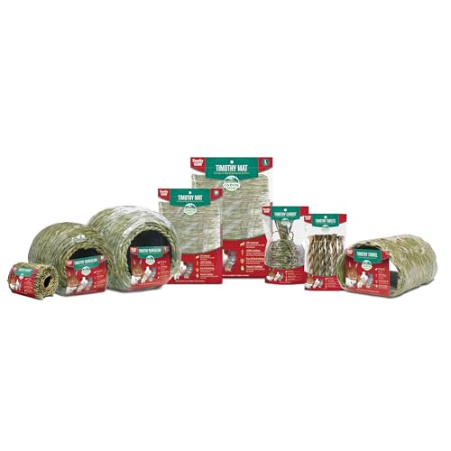 Oxbow Timothy Hay Carrot, Rabbit & Guinea Pig Toy, Edible & Hand-Woven Bunny Toy, No Wires or String, Small Pet Accessories, for Rabbits, Guinea Pigs, Chinchillas & Rats, Medium (Pack of 2) - size: 1 Count (Pack of 2)
