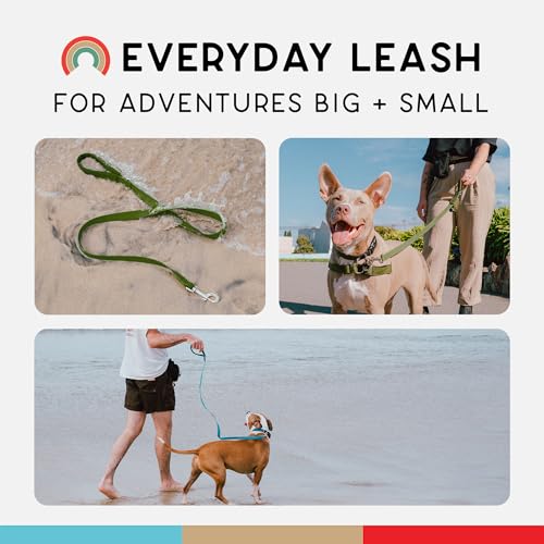 Wildebeest Funston Waterproof Dog Leash - Heavy Duty 4ft Long Leash for Small, Medium and Large Dogs - 1000D Nylon, Scratch & Stink-Resistant & Pill-Free - Nylon Wrap Handle (3/4" Wide, 4 ft Length) - color: Olive, size: 4 ft