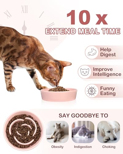 TRUVIC Ceramic Slow Feeder Dog Bowls Small Breed, 0.6 Cup Slow Feeder Cat Bowls for Fast Eaters, Ceramic Dog Food Dish no Black Chin, Puzzle Bowl for Small Dogs and Cats, Pink - color: 02-Pink, size: S-0.6 Cups