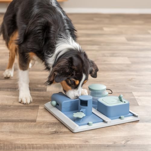 TRIXIE Poker Box 2 Dog Activity Interactive Toy, Level 3 Food Puzzle Game, Brain Teasing Treat Dispenser, IQ and Mental Development Toy for Smart Dogs, Enrichment Toy for Boredom Busting - color: Poker Box 2, size: Level 2