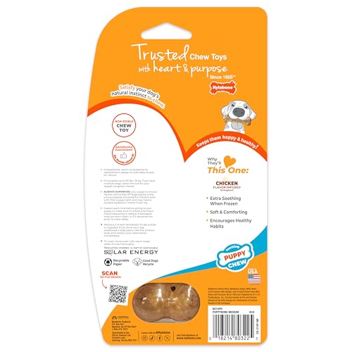 Nylabone Puppy Chew Teething Bone Dog Chew Toy, Chicken Flavor, Medium - color: Teething Bone, size: Medium