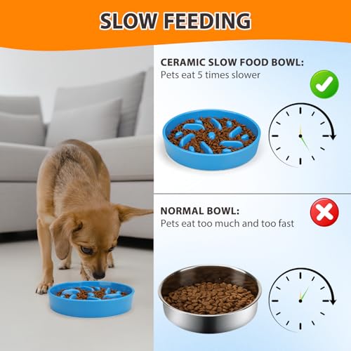 Ceramic Slow Feeder Dog Bowl, 2 Cups Maze Puzzle Dish to Slow Down Eating - color: Maze - Blue