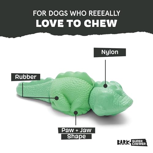 BarkBox Ilana the Iguana Super Chewer - Toy for Medium to Large Dogs - color: Illana the Iguana, size: Medium/Large