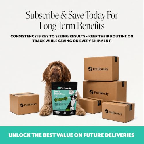 Pet Honesty Brush Buddies Vet Backed Dog Dental Chews, 8 Count - size: 8 Count (Pack of 1)