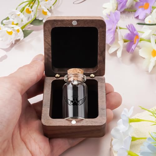 SOITIS Small Pet Urn for Dogs Cats Little Urn for Pets Ashes Keepsake - color: Black Paw