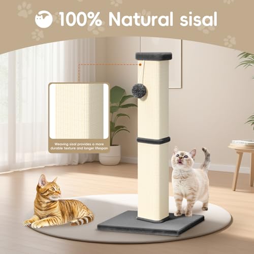 Cat Scratching Post, 32 Inch Tall Scratching Post for Indoor with 5 Inch Diameter Posts and Ball Cat Scratcher for Medium and Large Cats - color: Gray