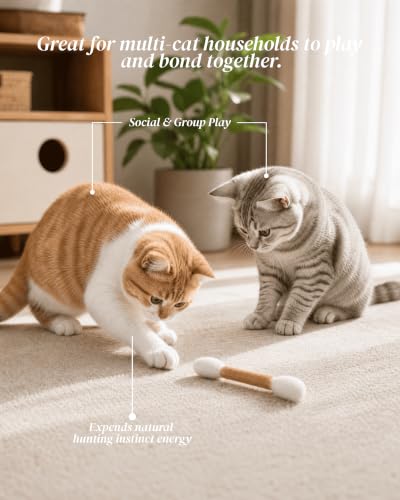 Swabs Cat Toys with Catnip, Cat Toys for Indoor Cats, 3Pcs - size: 3 Packs