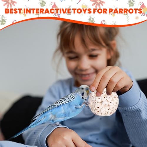 12 Pack Bird Toy Sola Balls, Natural Parrot Soft Chew Shredding & Foraging Toy, Bird Foot Balls for Cockatiel Conure Quaker Budgie Parakeet Bunny Guinea Pig Chinchilla Rabbit - size: 12