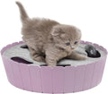 Pawaboo Interactive Cat Toy with Running Mouse, Automatic Track Kitten Toy - color: P-Purple
