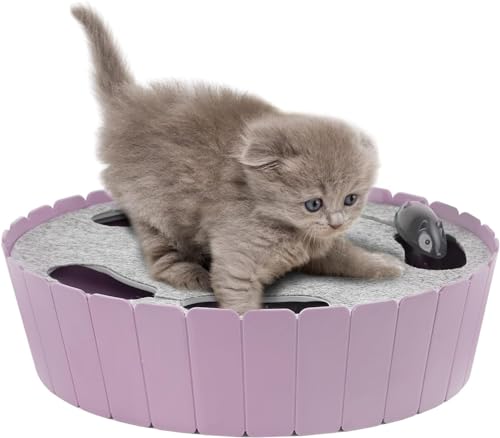 Pawaboo Interactive Cat Toy with Running Mouse, Automatic Track Kitten Toy - color: P-Purple