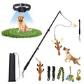 Flirt Pole for Dogs & GPS Wireless Dog Fence for Small Medium Large Dogs Training Playing Exercise