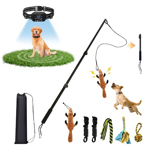 Flirt Pole for Dogs & GPS Wireless Dog Fence for Small Medium Large Dogs Training Playing Exercise