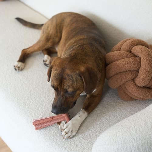 SPOT Bam-Bones Plus T-Bone Dog Chew, Beef, 6in, 30-60 lb Heavy Chewers - size: Medium