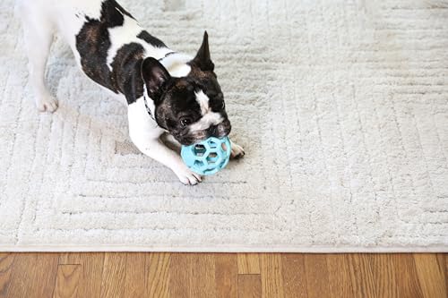 JW Pet HOL-ee Roller, Natural Rubber, Small 3in, Blue - color: Blue, size: Small