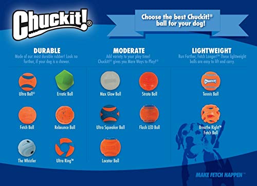 Chuckit! High-Bounce Rubber Fetch Ball Dog Toy, Medium 2.5in, Assorted