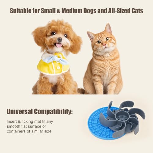 Nonslip Stainless Bowl Slow Feeder Kit for Small Dogs & Cats, Anti Gulping