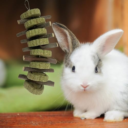 kathson Rabbit Chew Toys,Bunny Grind Teeth 100% Natural Organic Apple Wood Stick Improve Rodent Health Rabbits Hamsters Squirrel Guinea Pig(4 Pieces) - color: 【Style C】