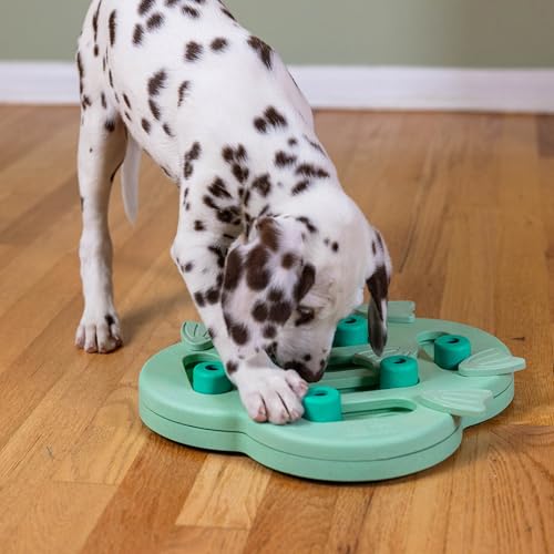 Outward Hound Nina Ottosson Puppy Hide N' Slide Dog Toy Treat Puzzle, 11.6" - color: Puppy Hide-N-Slide (Green), size: 1 Count (Pack of 1)