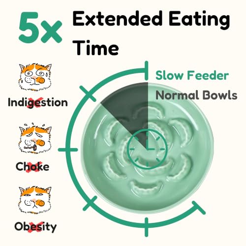 Elevated Slow Feeder Cat Bowl with Bamboo Stand, 6.3'' Ceramic Cat Food Bowl, Raised Whisker Friendly Cat Dish for Wet & Dry Food, Dishwasher Safe Anti-Slip Feeder for Cats & Small Dogs (Green) - color: Green with Stand