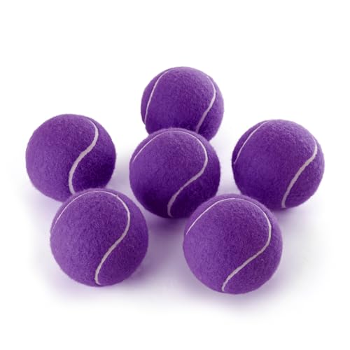 PHOEPET 6-Pack Tennis Balls for Beginner Training Practice- Bulk Dog Balls - color: Purple-6 Pack, size: Medium 2.5"- 6 Pack