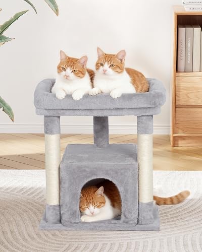 23.6" Cat Tree for Large Cat, 19 * 15.8 in Large Perch, Light Gray - color: Light Gray