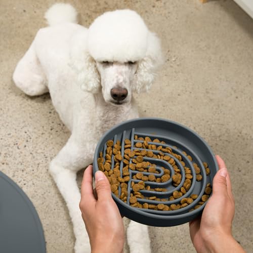 Slow Feeder Dog Bowl - Silicone Dog Bowl, Large, 9.5" x 1.5" - Charcoal - color: Charcoal - Rainbow Design, size: Large (9.5” Across and 1.5” Tall)