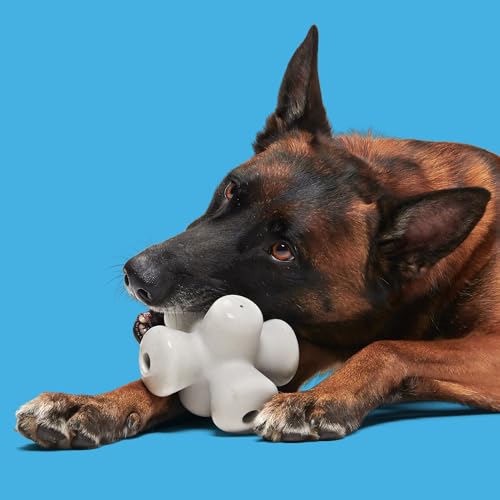 BarkBox Chomping Jacks Natural Rubber Dog Toy - color: Chomping Jacks