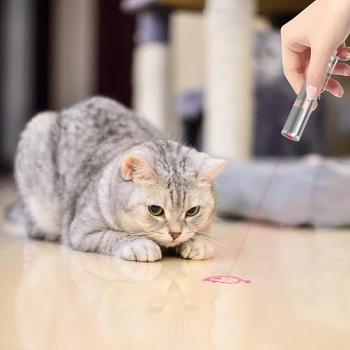 TBTeek Cat Toys, with Metal Case, 2 Pieces, Rechargeable, 7 Adjustable Patterns, Interactive Kitten Pet Dog Chase Toy for Cats Fun Playing Exercise - color: Silver