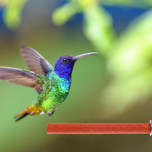 Mipcase Bird Climbing Stand Parrot Grind Stick Beak Grinder for Birds Standing Perch Toy for Cockatiels Parakeets Small Birds 7.87 X 0.78 X 0.78 in Random Color