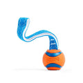 Chuckit! Ultra Tug Dog Toy, Small Fetch and Tug Toy for Dogs 0-20 Pounds - size: Small, style: Ultra Tug