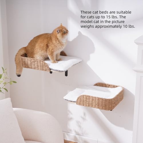 SHENGOCASE 2-Pack Wall Mounted Cat Bed Perch - size: F