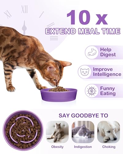 TRUVIC Ceramic Slow Feeder Dog Bowls Small Breed, 0.6 Cup Slow Feeder Cat Bowls for Fast Eaters, Ceramic Dog Food Dish no Black Chin, Puzzle Bowl for Small Dogs and Cats, Purple - color: 03-Purple, size: S-0.6 Cups
