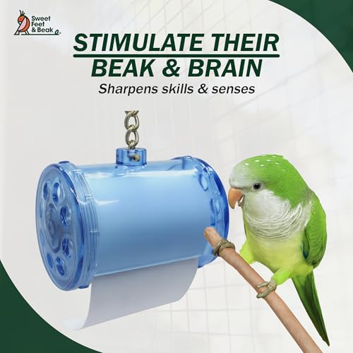 Sweet Feet and Beak Shred Master, Large, 4" Plastic Bird Shredding Toy - size: Large