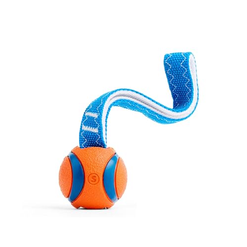 Chuckit! Ultra Tug Dog Toy, Small Fetch and Tug Toy for Dogs 0-20 Pounds - size: Small, style: Ultra Tug