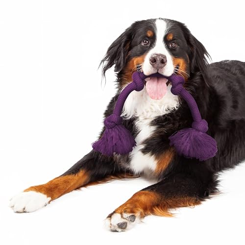 Playology Tug Rope Dog Toys for Large Breed Dogs - Mega Size, Bacon Scent - size: Mega, style: Bacon