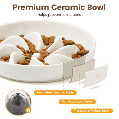 PETTOM Slow Feeder Cat Bowl Elevated Ceramic with Bamboo Stand, Lotus - color: Lotus