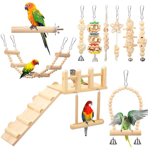 10 Pcs Bird Toys for Parakeets Cage Accessories Parrot Swing Toys