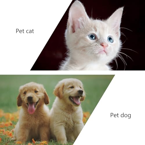 iplusmile Cat Feeding Toy Rotating Windmill Slow Food Dispenser Interactive Treat Leakage Toy for Indoor Play Iq Training 5.11 X 1.57 X 6.69 in - color: Blue