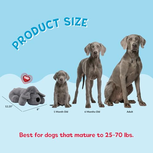 Snuggle Puppy Heartbeat Toy, Calming Comfort, Medium Breeds - Gray - color: Grey