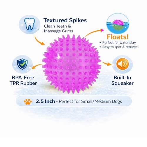 Squeaky Spiky Dog Ball for Teeth Cleaning & Gum Massage 2.5 Inch Small Medium Dogs Purple | Spiny TPR Rubber Chew Toy for Fetch Play Interactive Bouncy Dental Ball Durable BPA Free Nontoxic Floats - size: Purple Ball 1-Pack