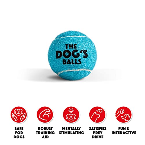 The Little Dog’s Balls Small Dog Tennis Balls 6-Pack Blue Floats in Water - color: Blue, size: 6 Small Tennis Balls