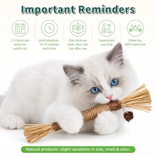 BAWAN Silvervine Sticks Cat Chew Toys for Indoor Cats Dental Care Teeth Cleaning, Natural Kitten & Cat Teething Toys for Health, Cat Chew Stick Suitable for All Breeds of Aggressive Chewers Cat - size: 5PCS